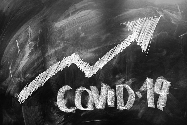 Liquidité et solvabilité des entreprises Belges face à la crise du COVID-19 : une évaluation après la première vague