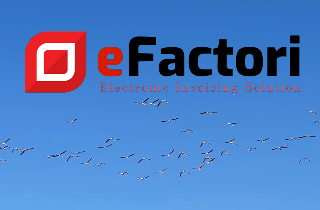 Démonstration de notre logiciel web eFactori en visio!